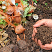 soil and food scraps