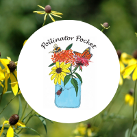 Pollinator Pocket