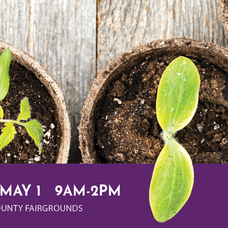 seedlings and white text over purple