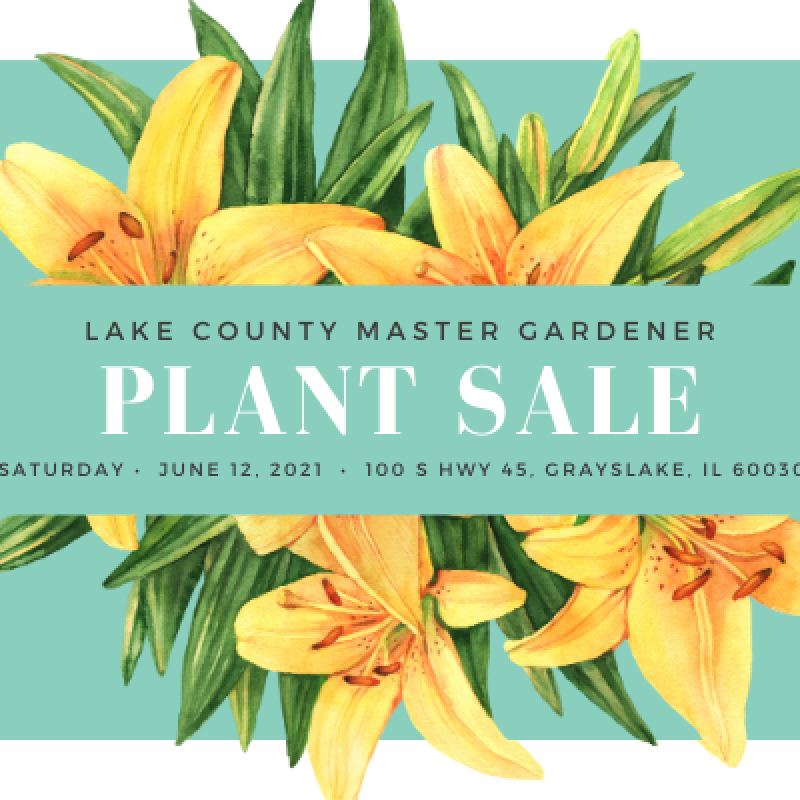 Plant Sale