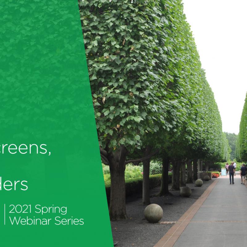 graphic with text "green screens fences and borders" short evergreen trees lining walkway