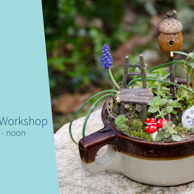 fairy garden in cup with text about horticulture workshop on March 19 from 9:30 a.m. to noon