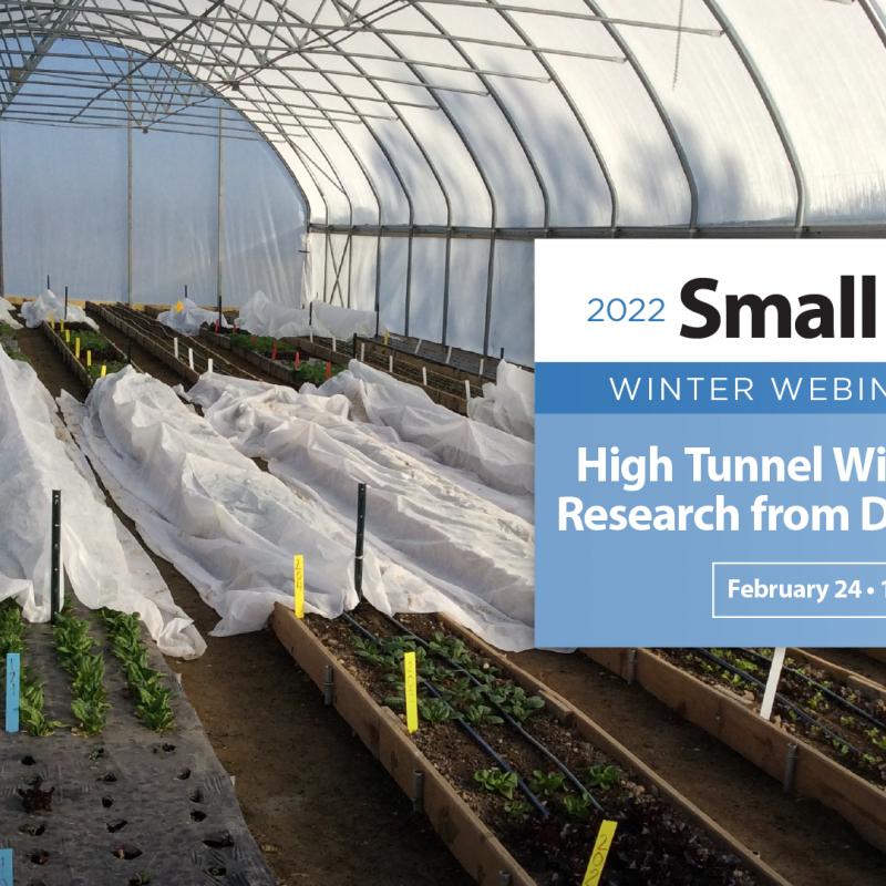 high tunnel vegetable growing