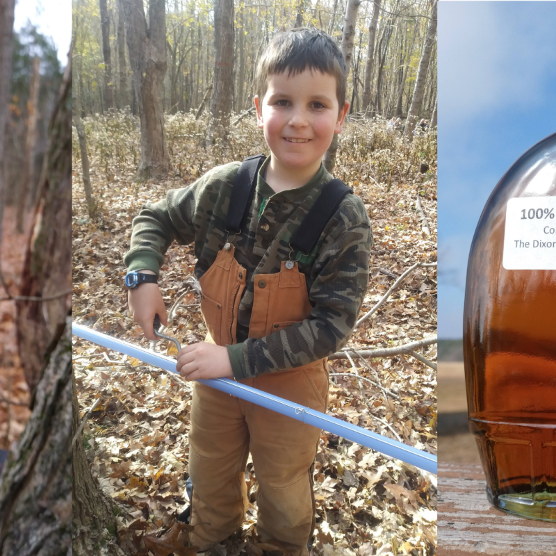 A close up of a sap tap, a boy standing in the woods, and a close up of a maple syrup bottle
