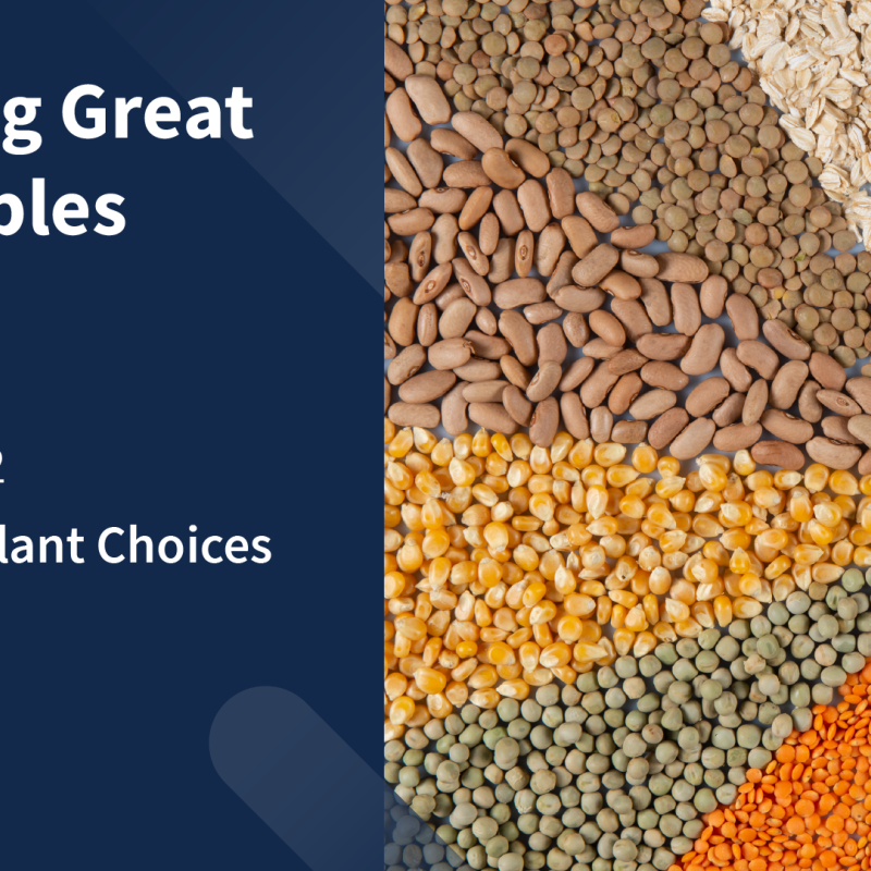 graphic: Growing Great Vegetables, seed and plant choices, photo: photos of vegetable seeds