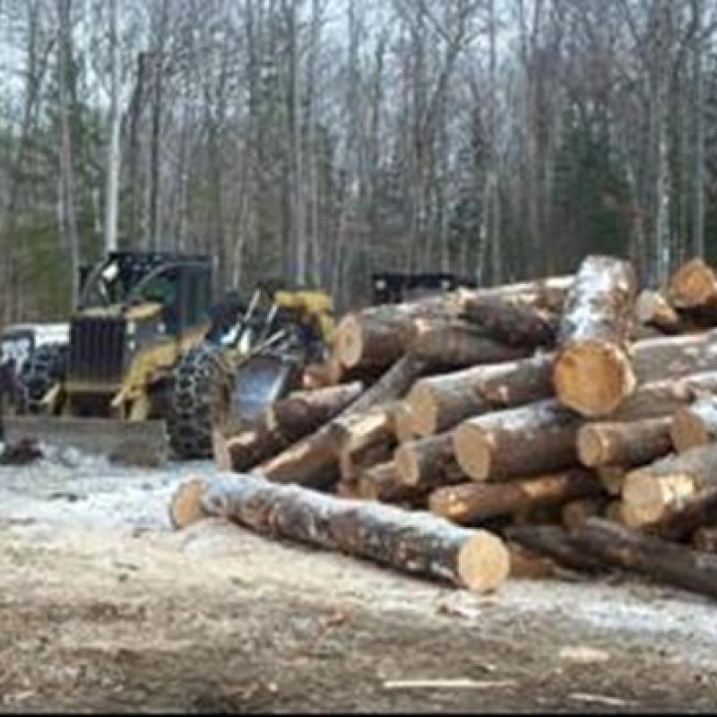 skidsteer and logs