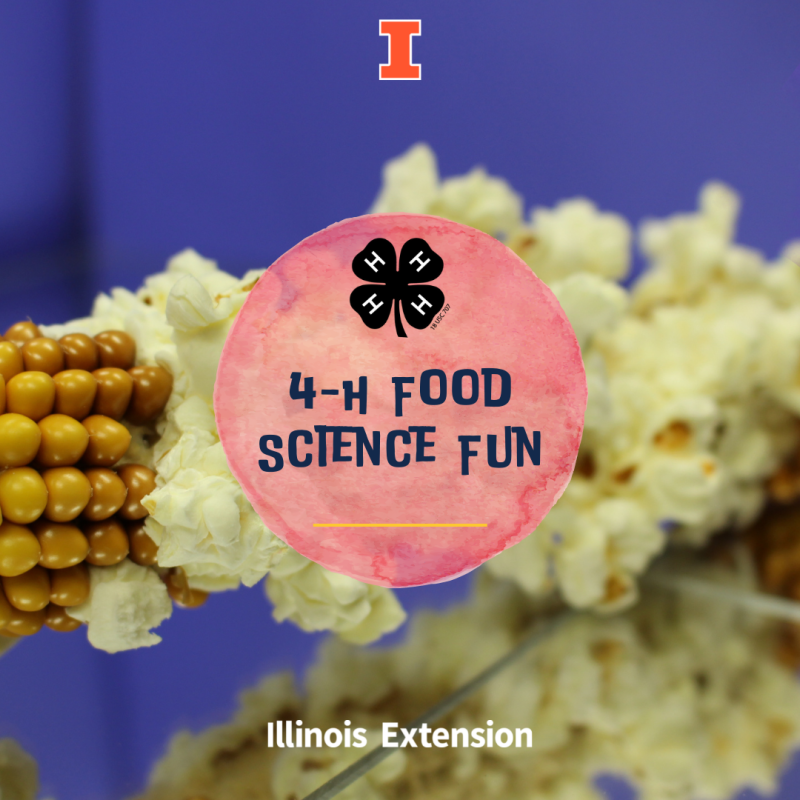 purple background, popcorn popped on the cob, Orange big I in the center at the top, white text "Illinois Extension" at the bottom center, yellow and white geometrical shapes around the edges on the left and right, pink circle in the center with a black 4-H clover, blue text "4-H Food Science Fun" and a yellow line