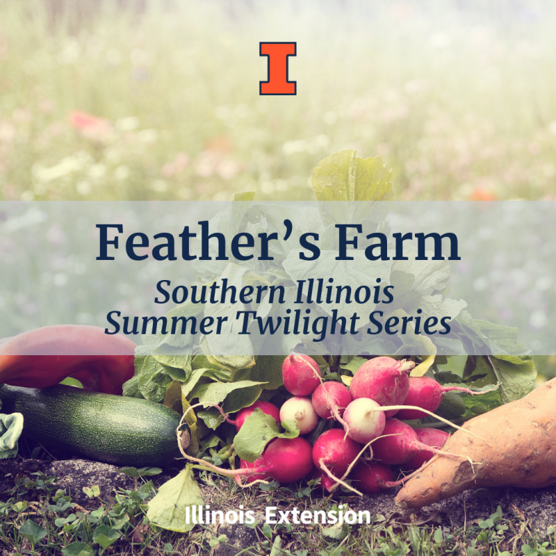 Vegetables in field with "Feather's Farm, Southern Illinois Summer Twilight Series" text.