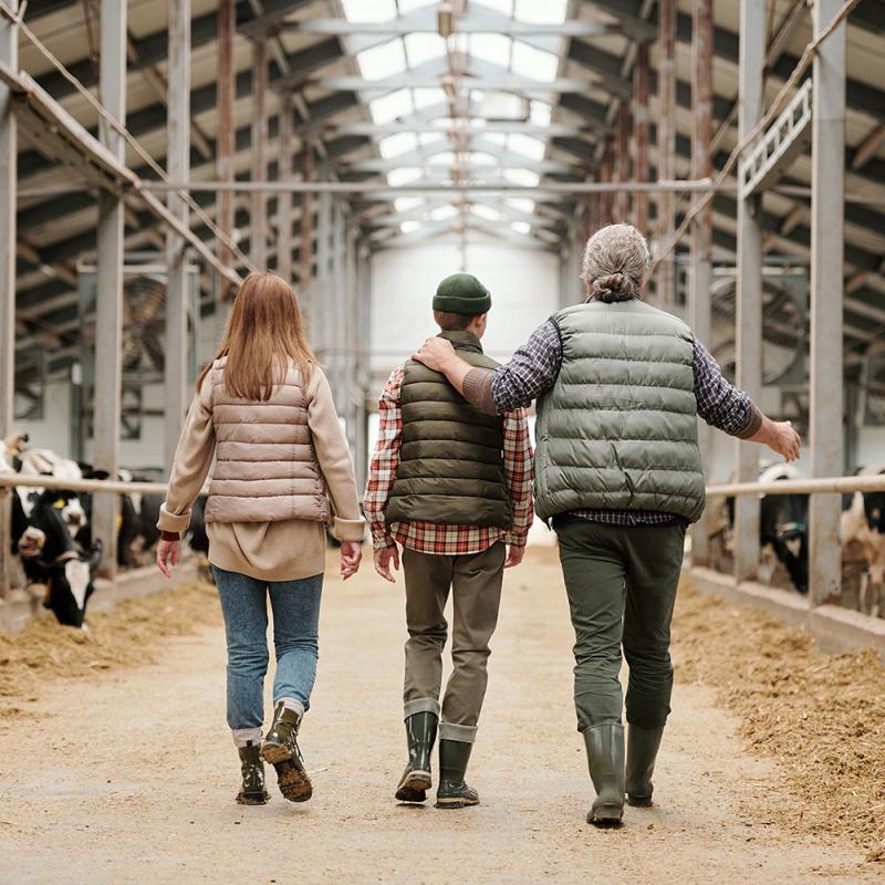 man, boy, and woman walk down dairy barn with backs to camera
