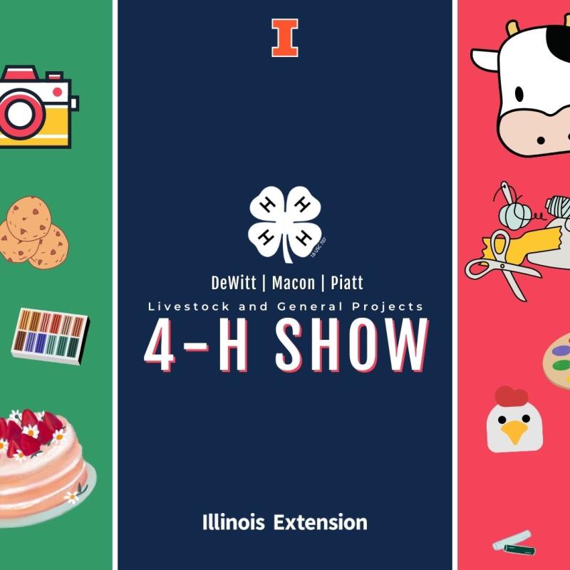 Barnyard animals, cake, camera, bread, jar of tomatoes. Text reads Dewitt, Macon, Piatt 4 -H Show.