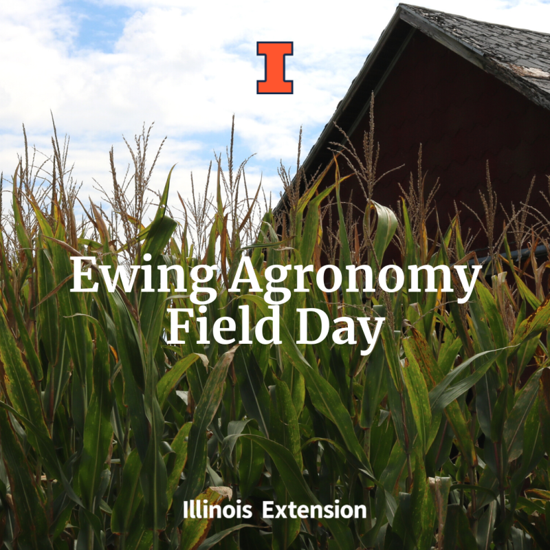 Barn in corn field with Ewing Agronomy Field Day text