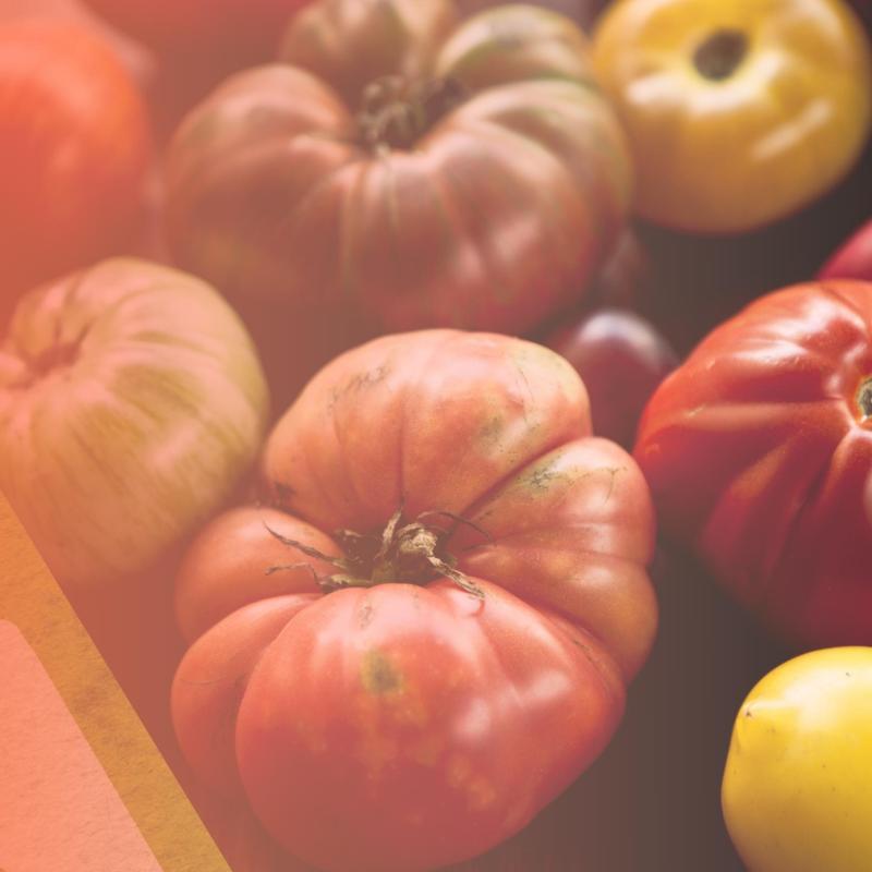 image of tomatoes with orange overlay