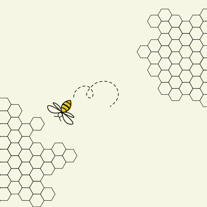 bee flying around honeycomb