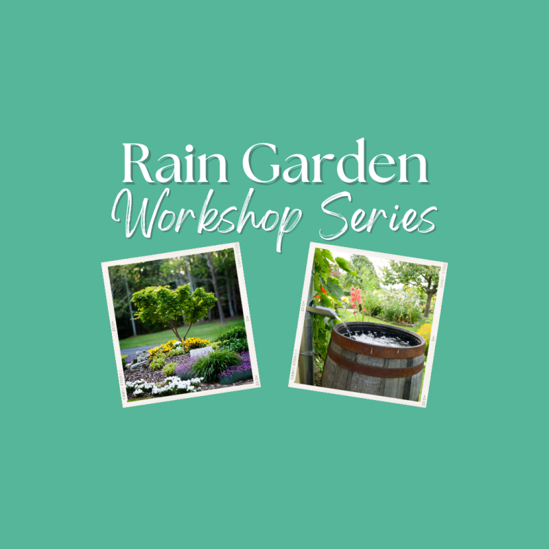 green background with the words "rain garden workshop series" Two images shown. One of a rain water collection barrel and another of a landscaped garden with flowers, stones and a small tree.