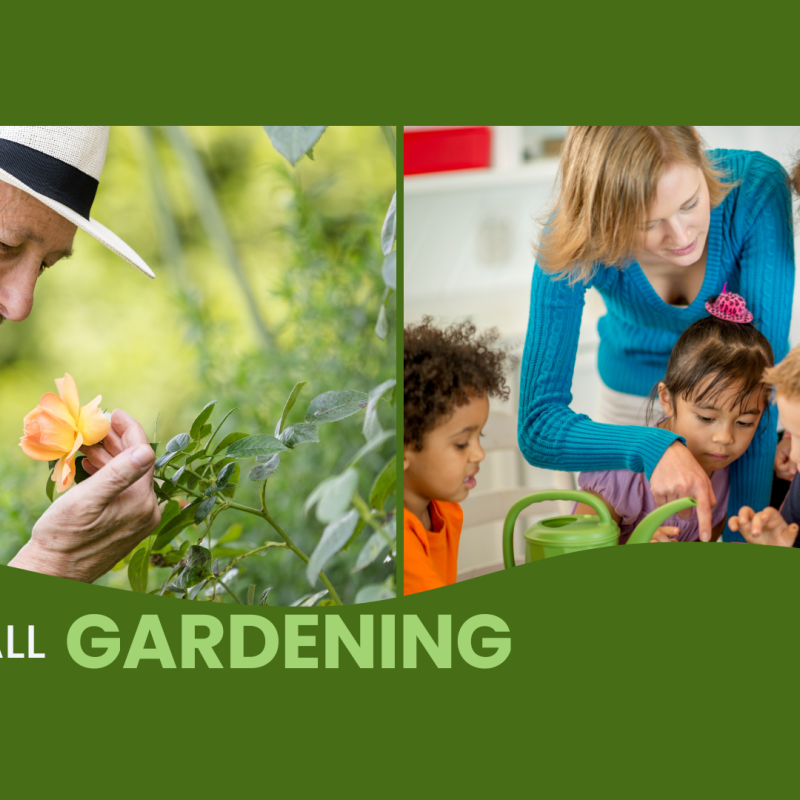 gardening activities with kids and adults