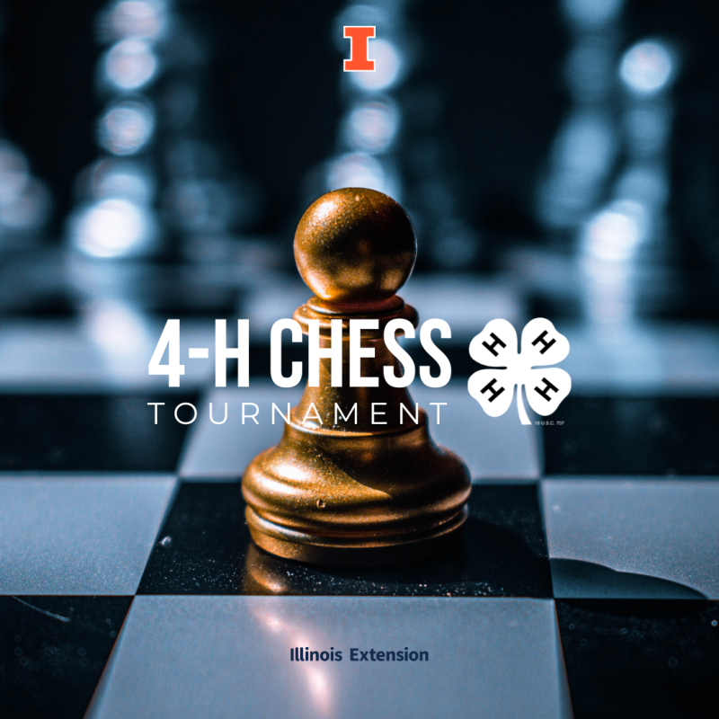 Chessboard background with chess piece, including text "4H Chess Tournament"