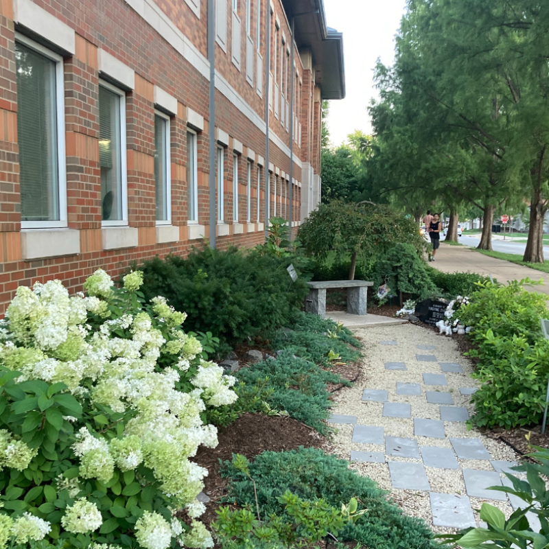 Shrubs lining a winding path along a brick building