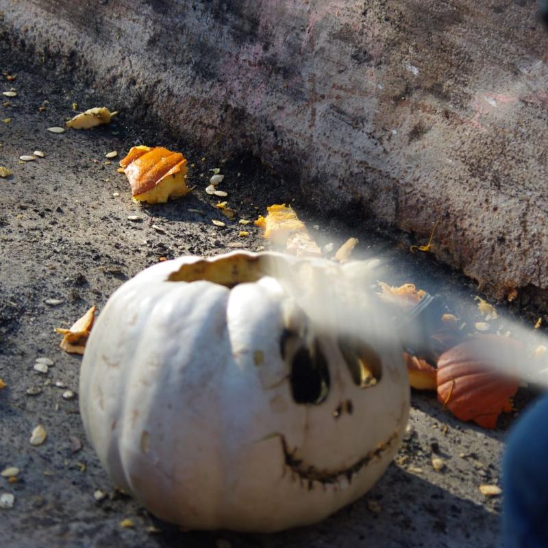 carved pumpkin being smashed by a bat
