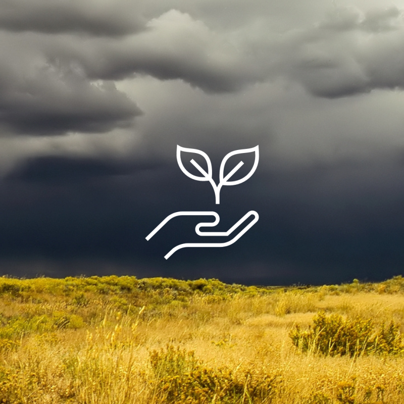 A field with a storm and a graphic of a plant being held by hands