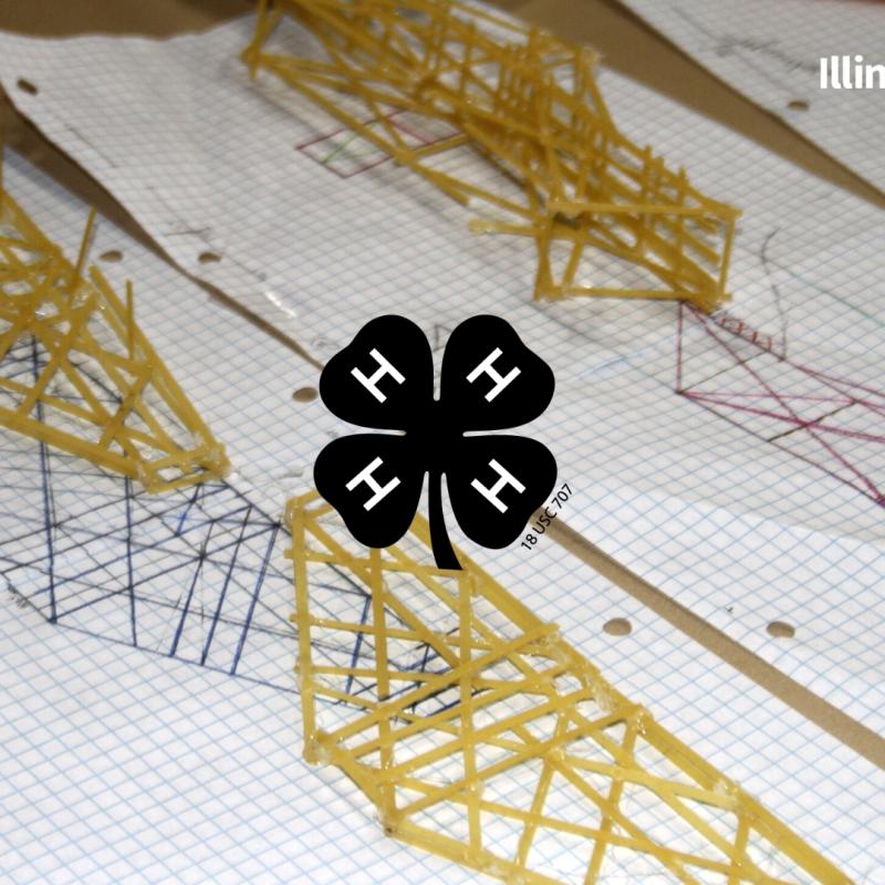 close up of bridge sketches and bridge models made of linguine pasta