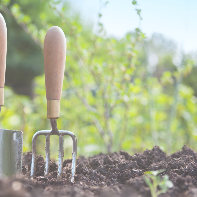 gardeners trowel and rake in loose soil
