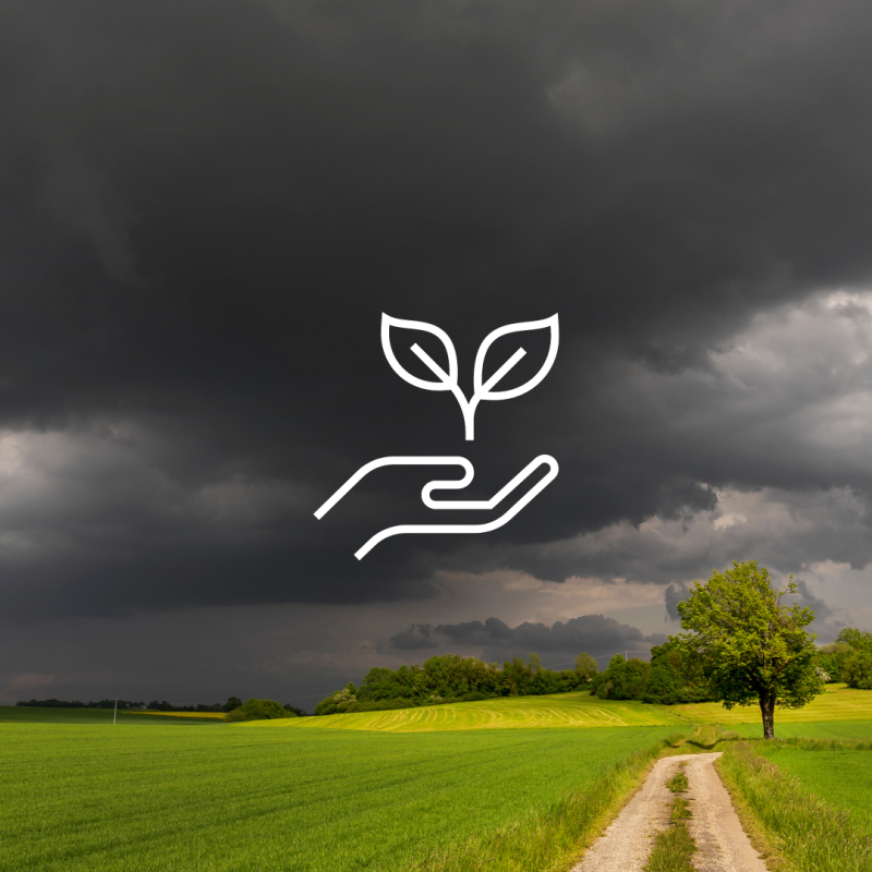 A field with a storm and a graphic of a plant being held by hands