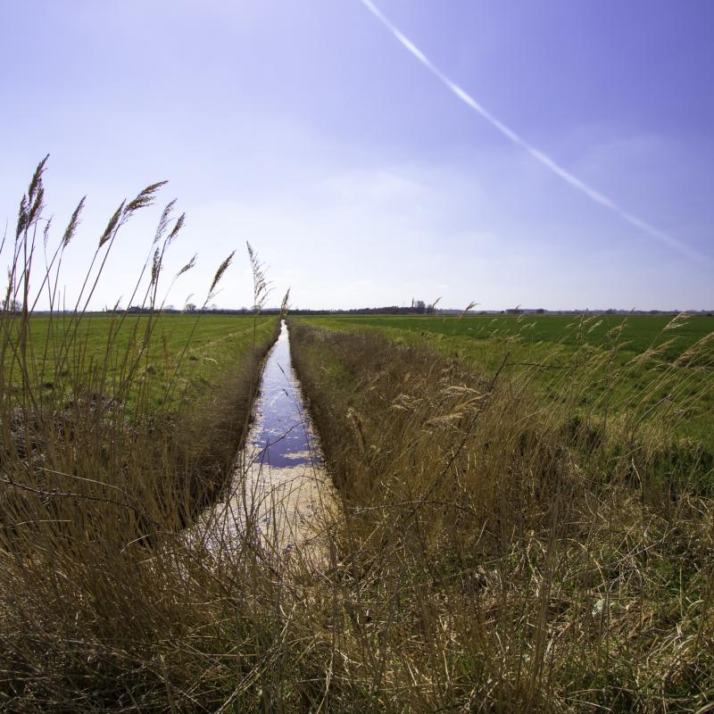 drainage ditch in field