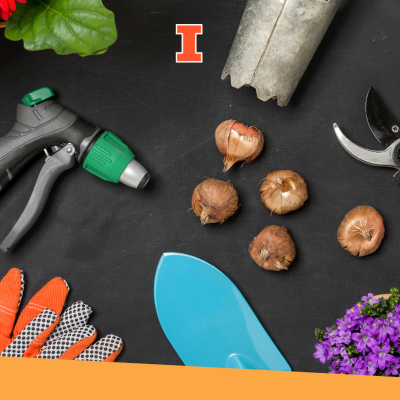 Various garden tools on a dark colored background.