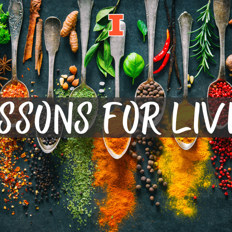 Colorful various spices and herbs for cooking on dark background. Text in middles reads Lessons for Living