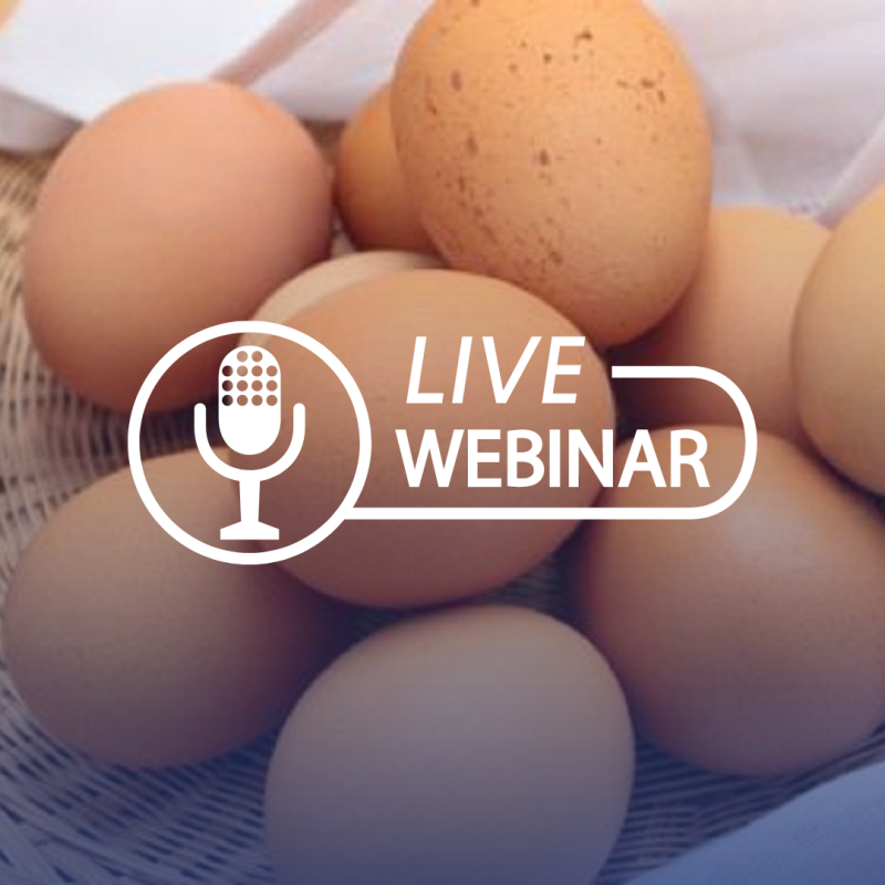 A basket of eggs with a "live webinar" graphic over the top.