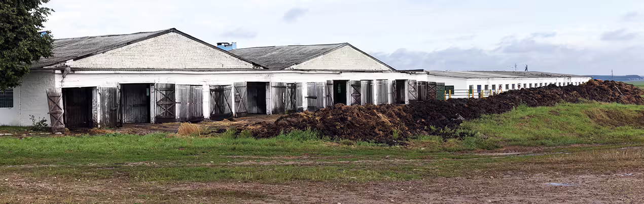 barns with manure