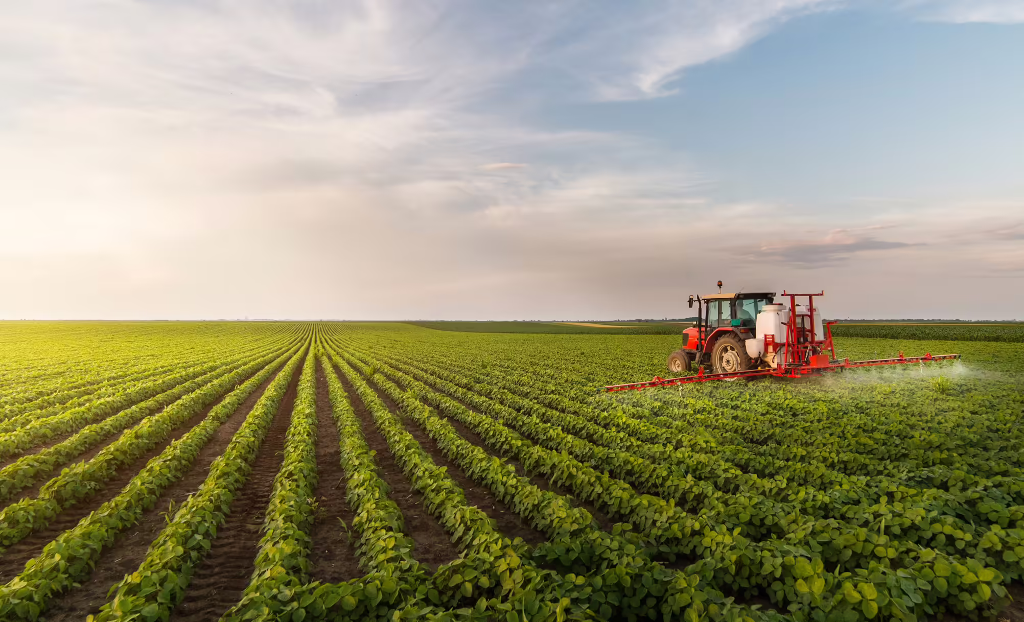 Field Crops Adobe Stock 242824788
