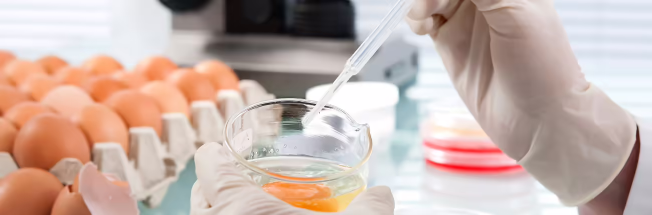 food inspection of eggs