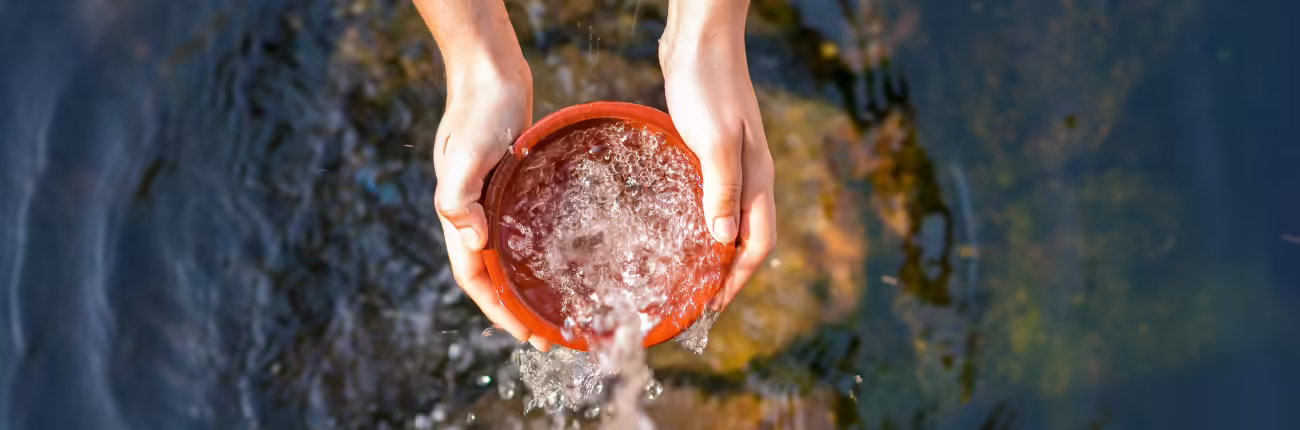 hands holding a cup of water
