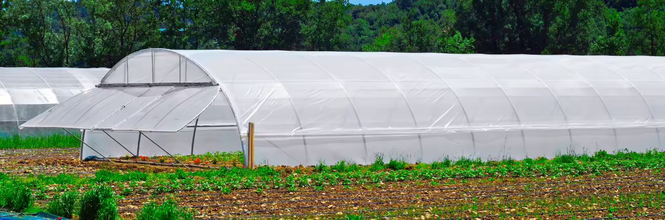 hoop house in urban garden