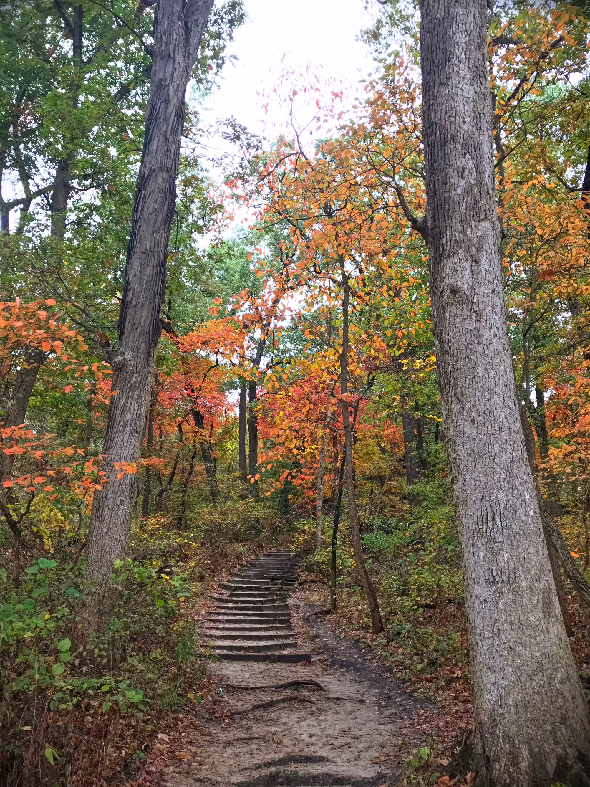 Starved Rock in the fall