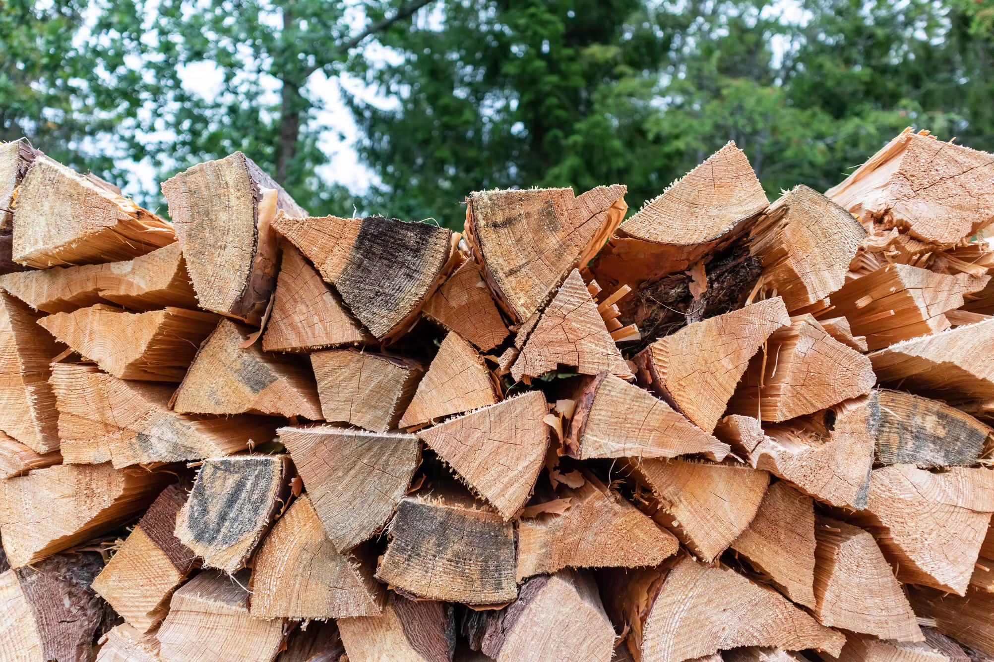 Stacked firewood