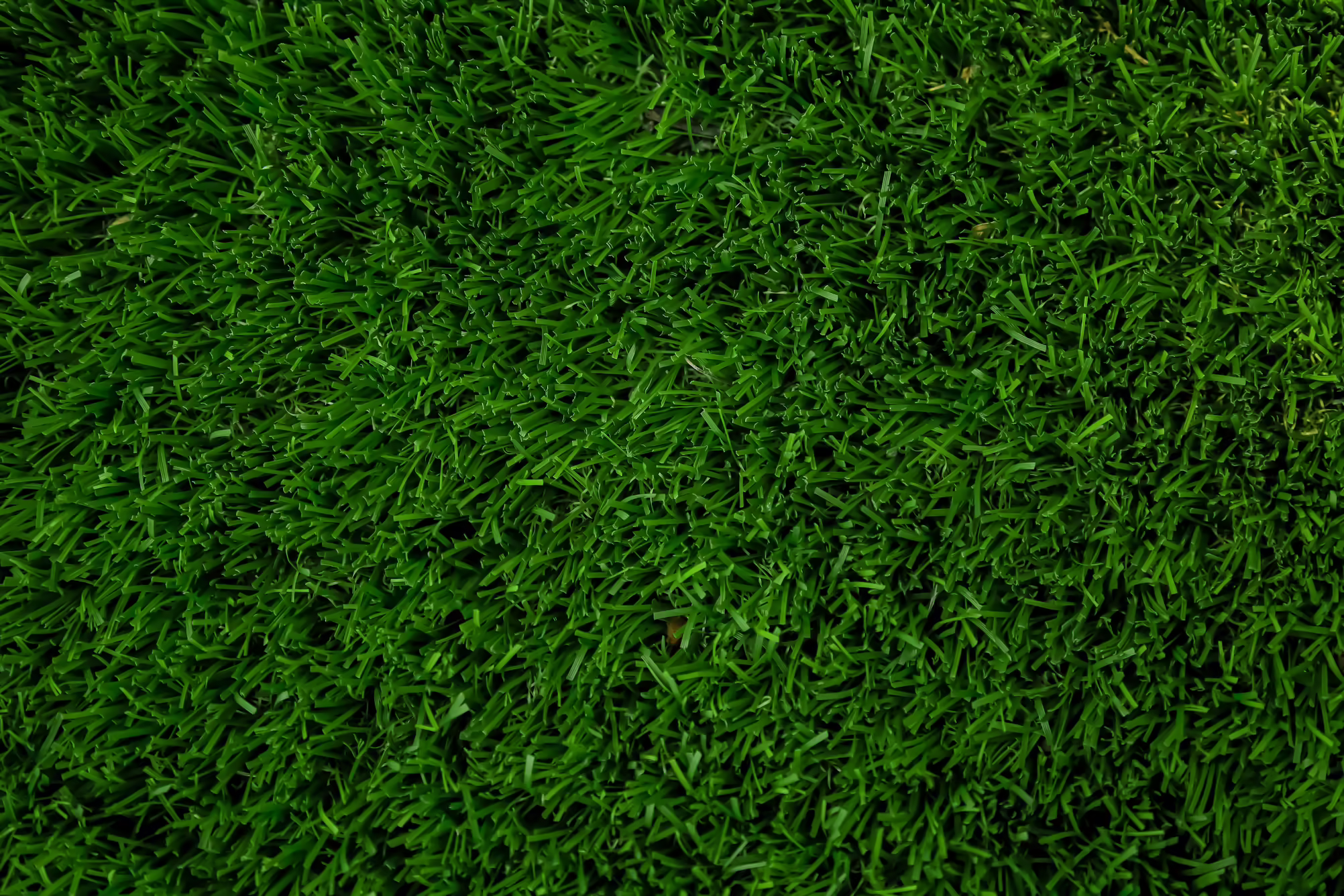 lawn
