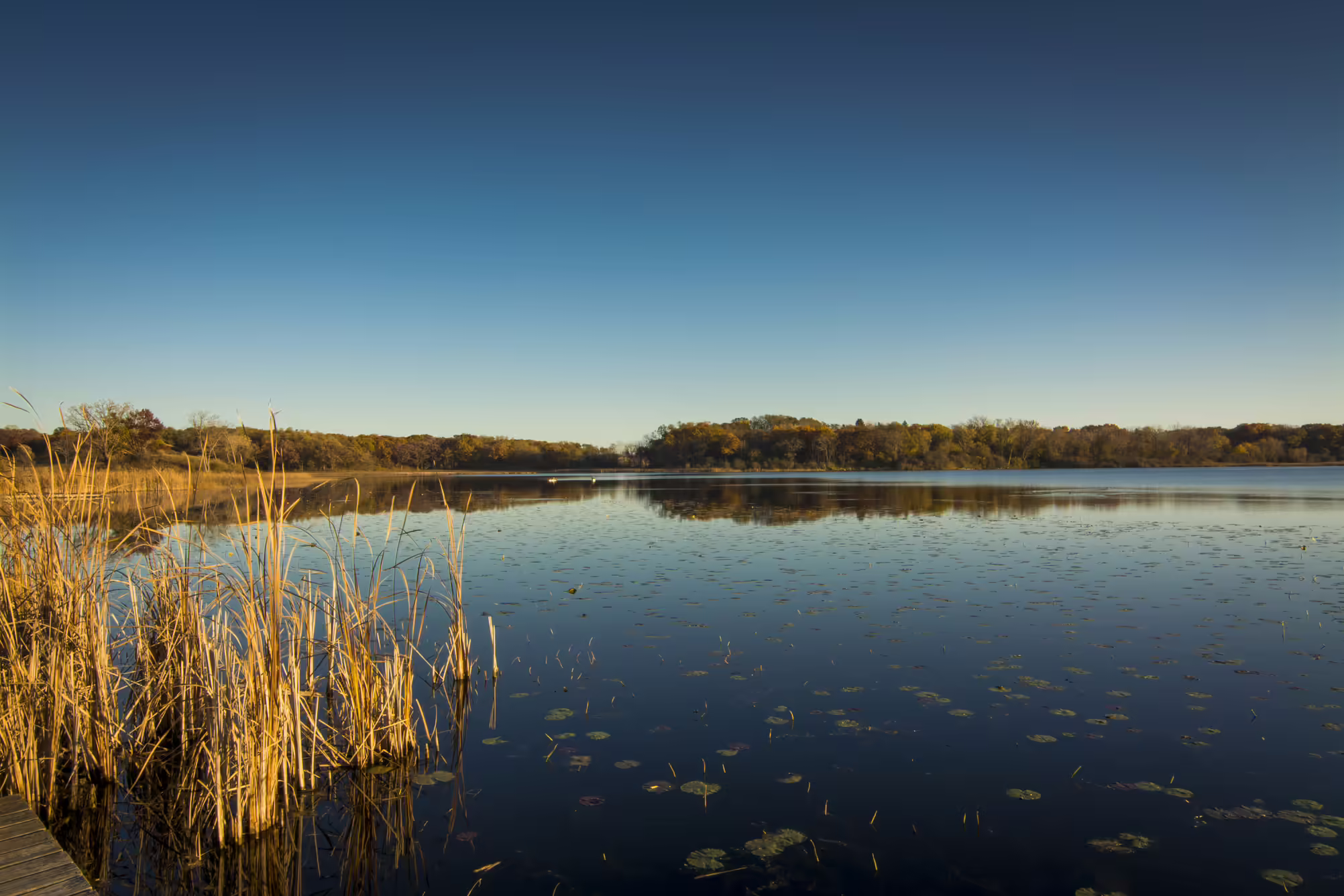 Illinois lake natural landscape reflecting the sky