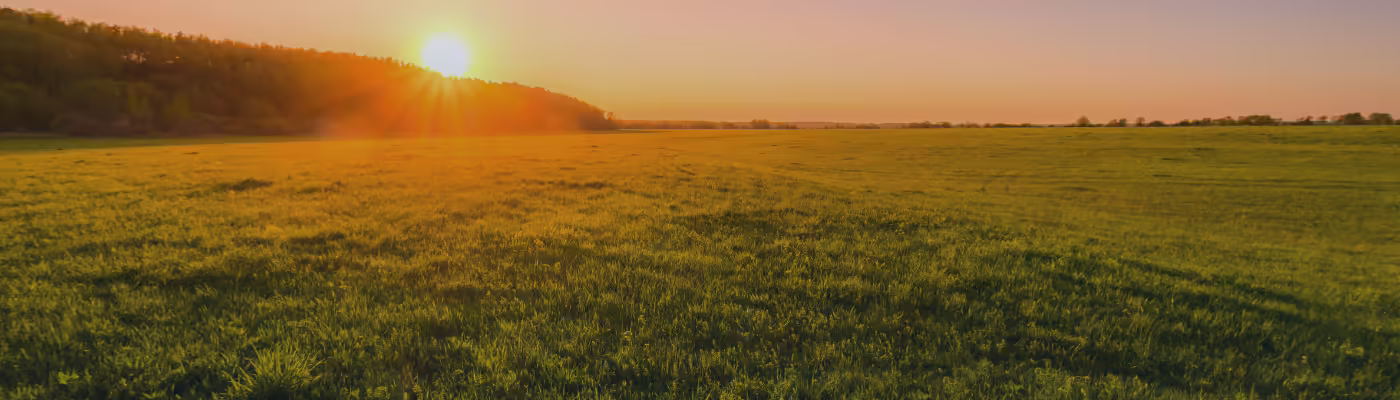 A sun setting over a grassy field with a line of trees on the left.