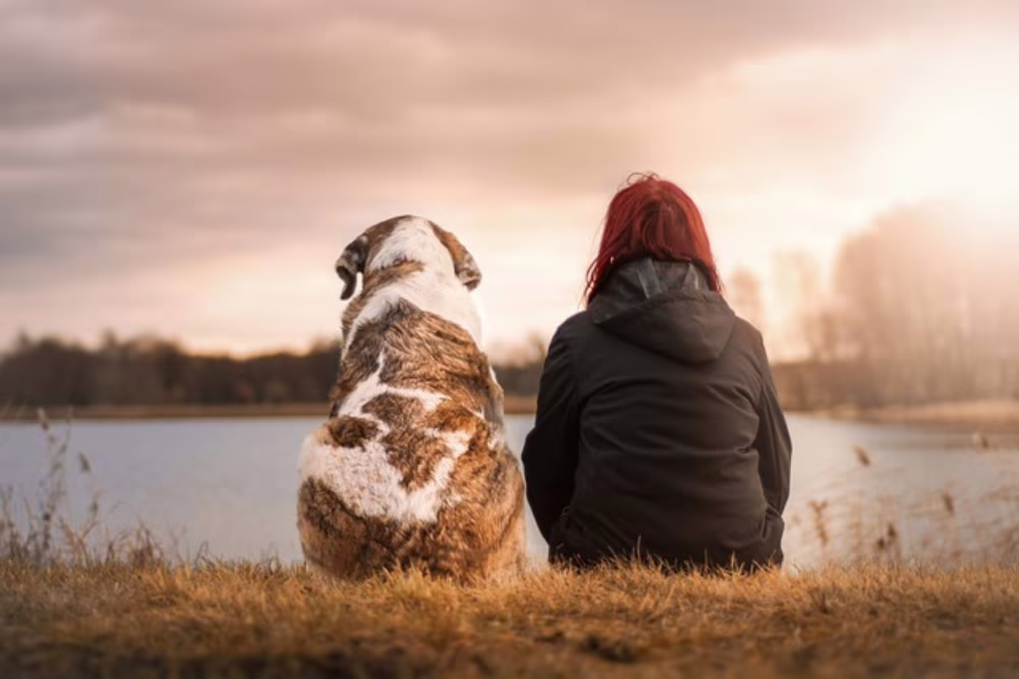 woman and dog sitting by pond