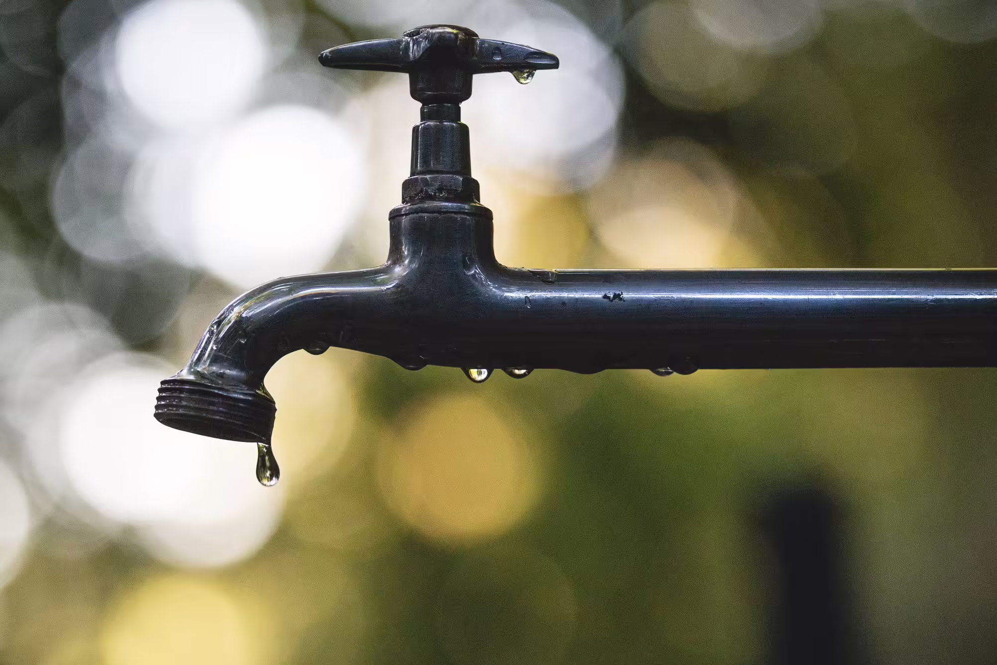 Water pipe