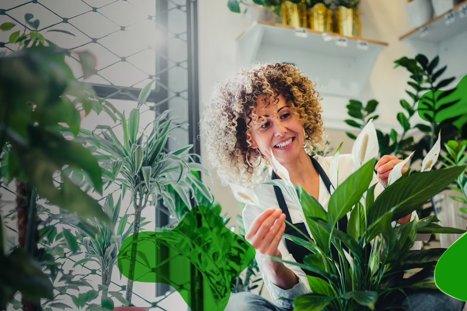 woman taking care of plants
