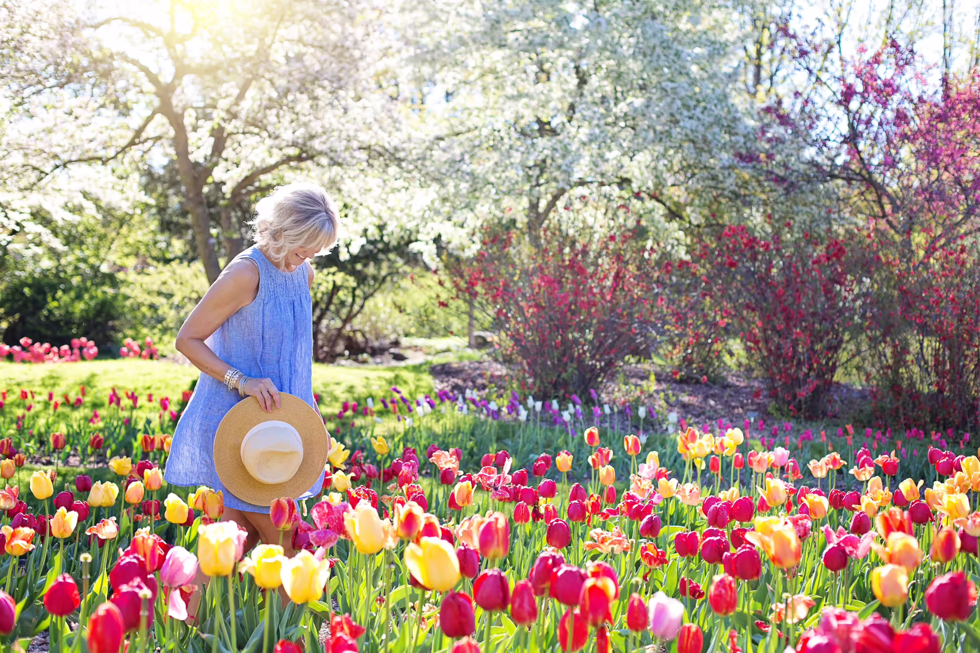 woman walking through field of tulips and spring blooming trees