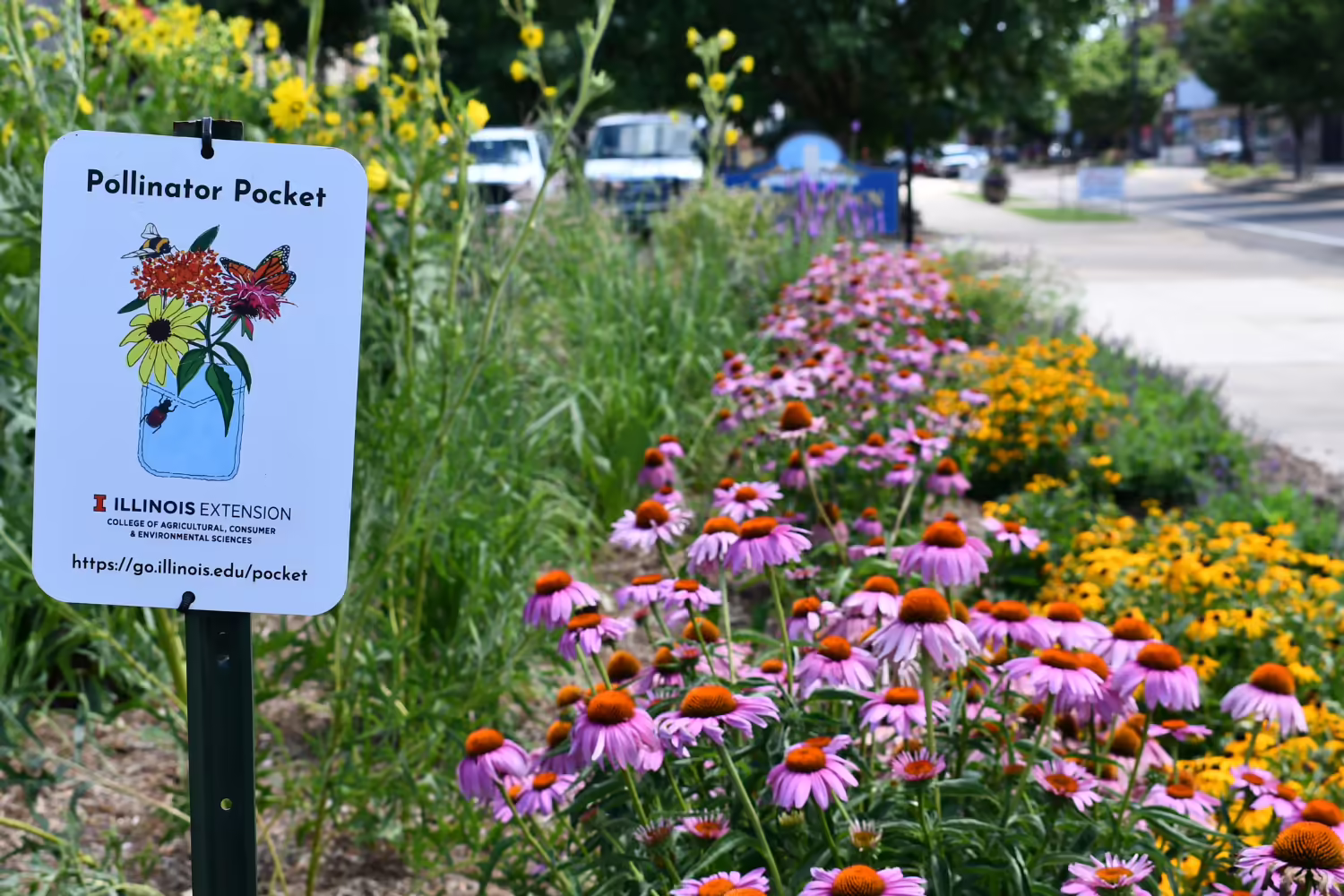 A pollinator Pocket sign with many colorful flowers