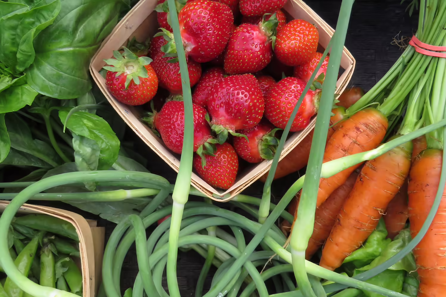 fresh-picked strawberries, carrots, scapes, basil, and peas