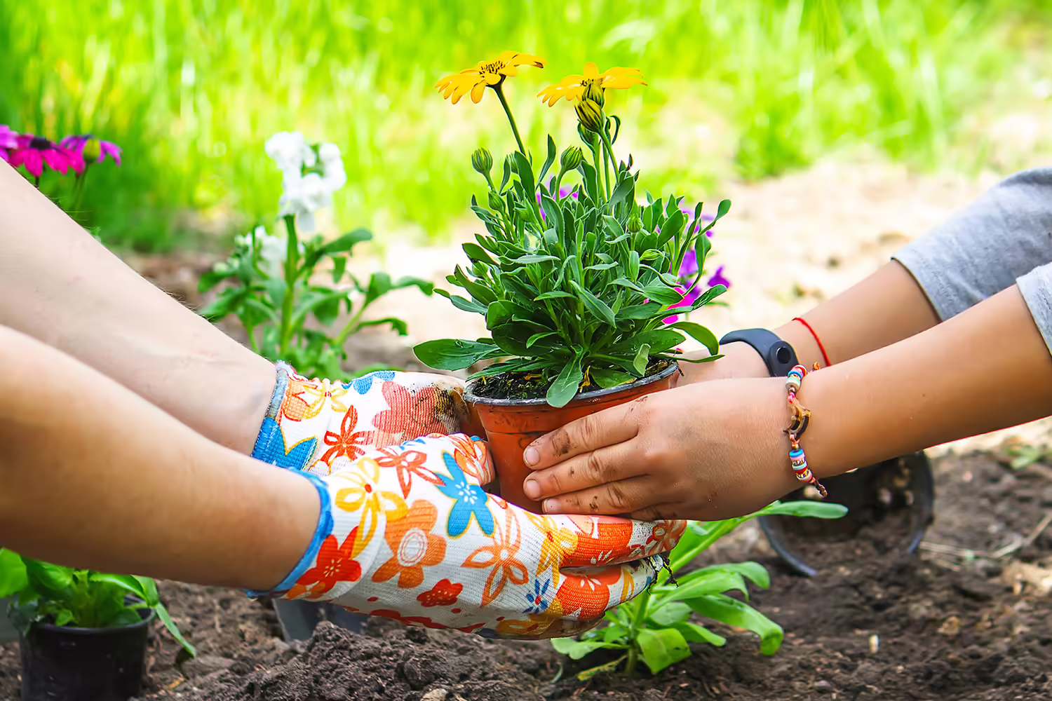 Two people, one adult and one youth work together to plant a flower into the ground.