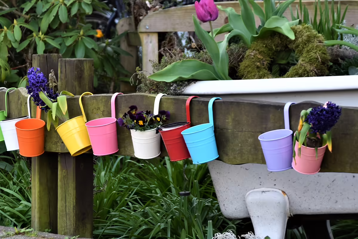 buckets of flowers