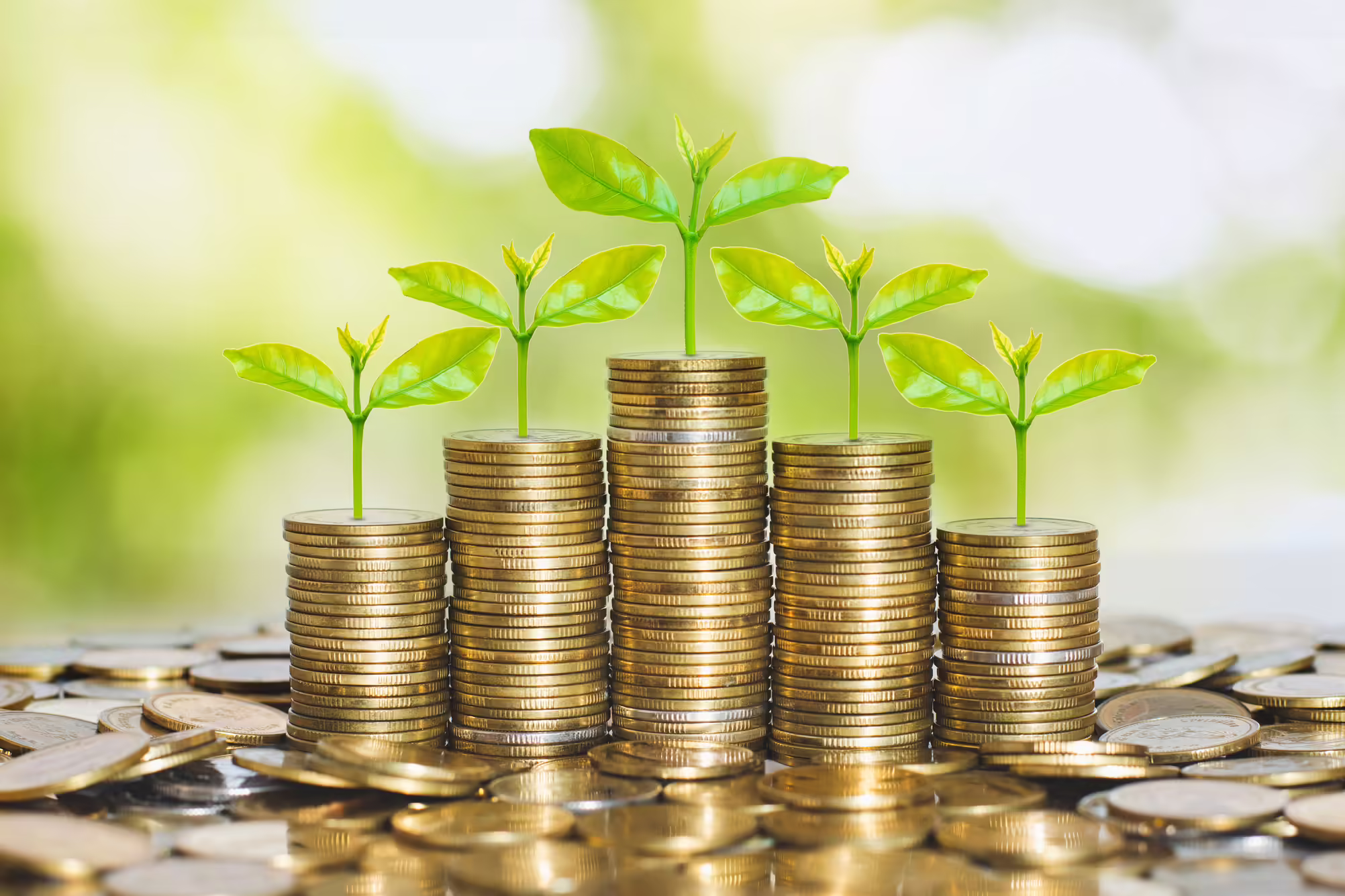 Stacks of coins with plant sprouts on top
