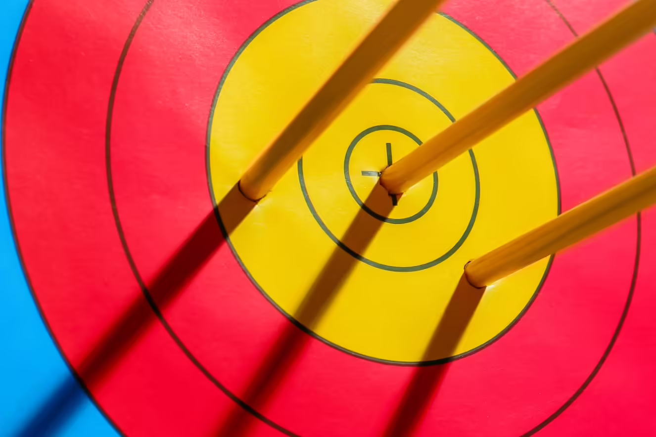 Target for archery with arrows.
